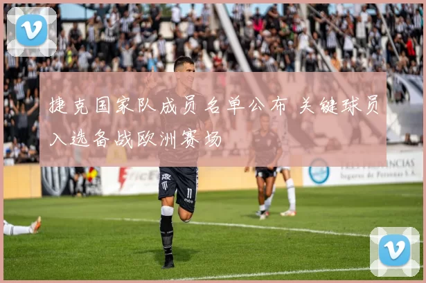 捷克国家队成员名单公布 关键球员入选备战欧洲赛场