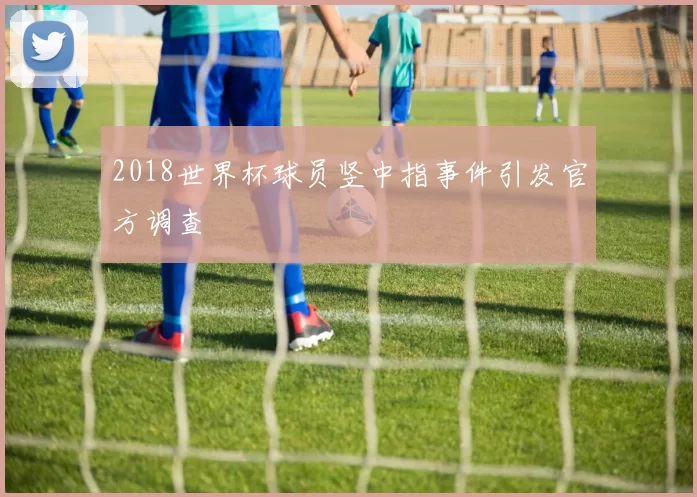 2018世界杯球员竖中指事件引发官方调查