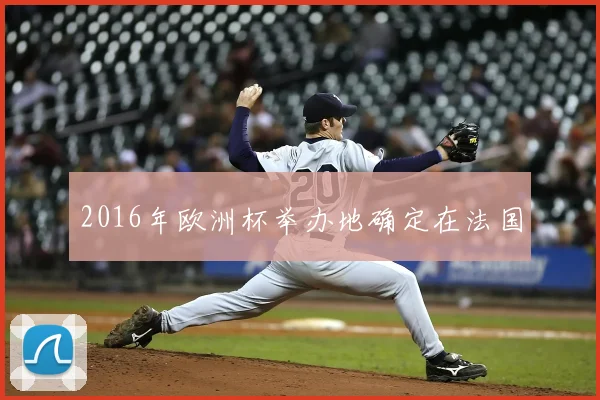 2016年欧洲杯举办地确定在法国